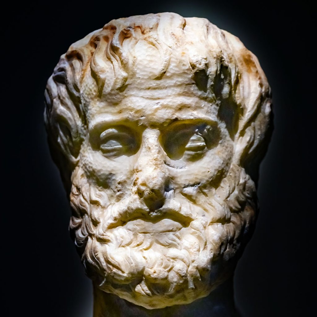 Aristotle and his big idea