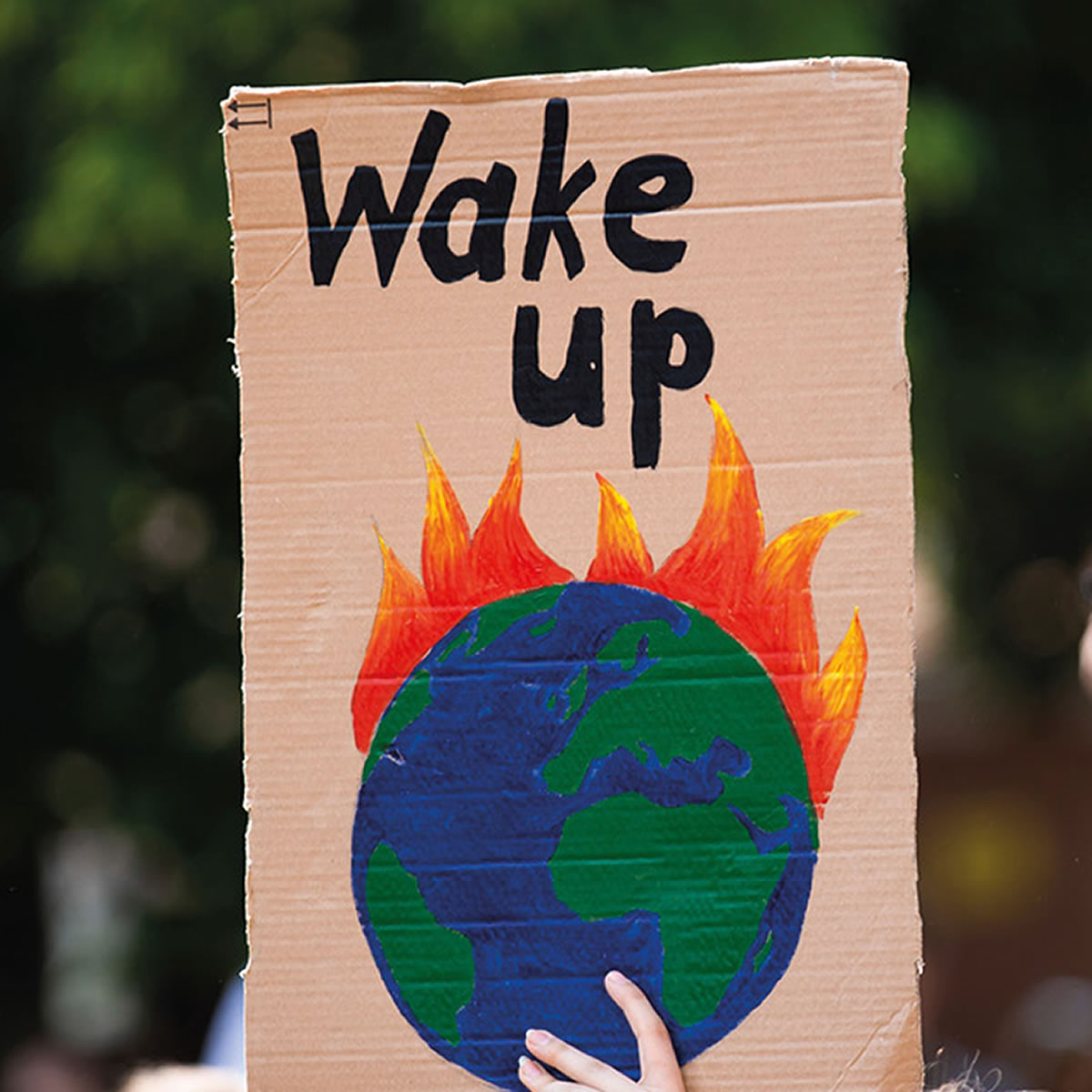 Climate Crisis