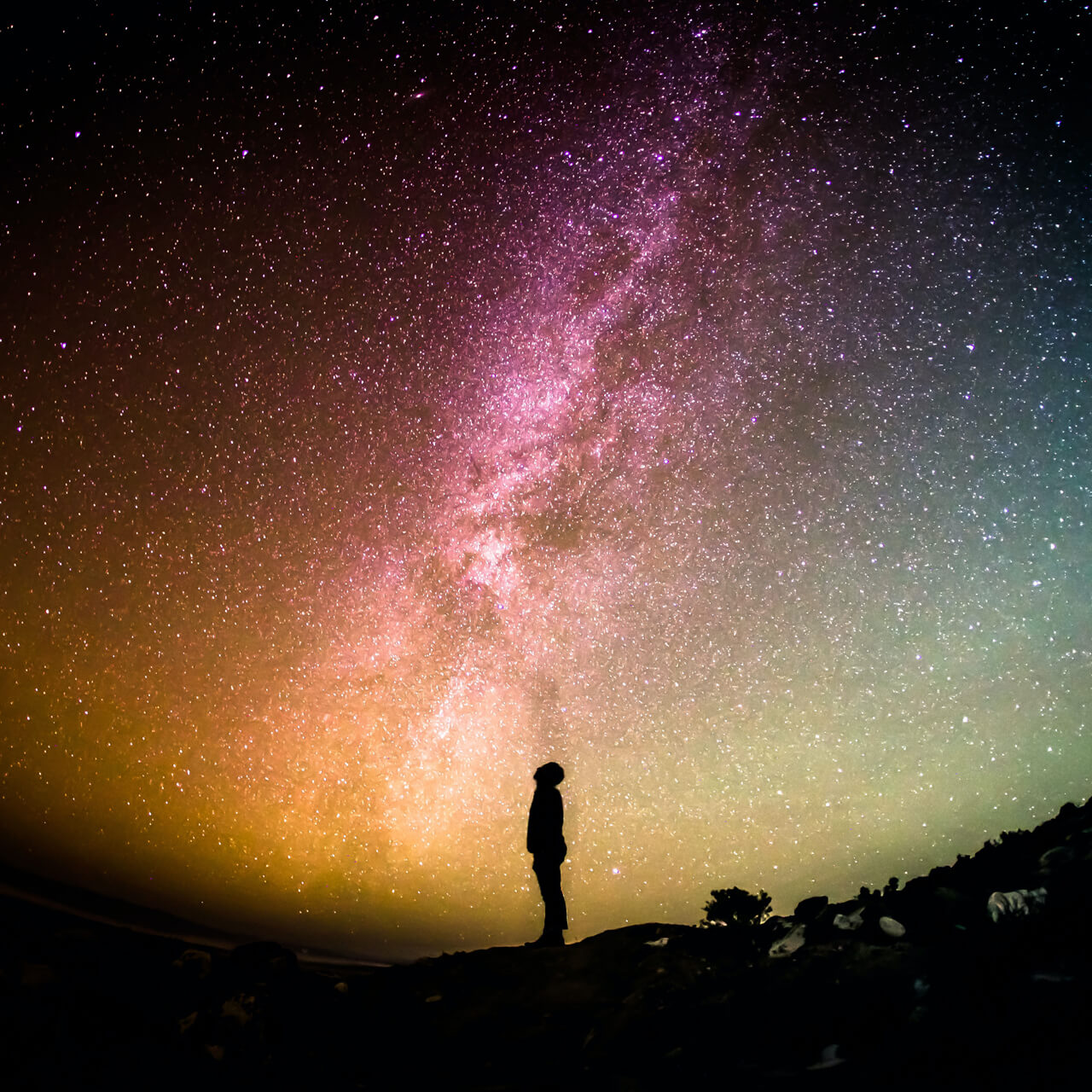 greg-rakozy-oMpAz-DN-9I-unsplash-sq